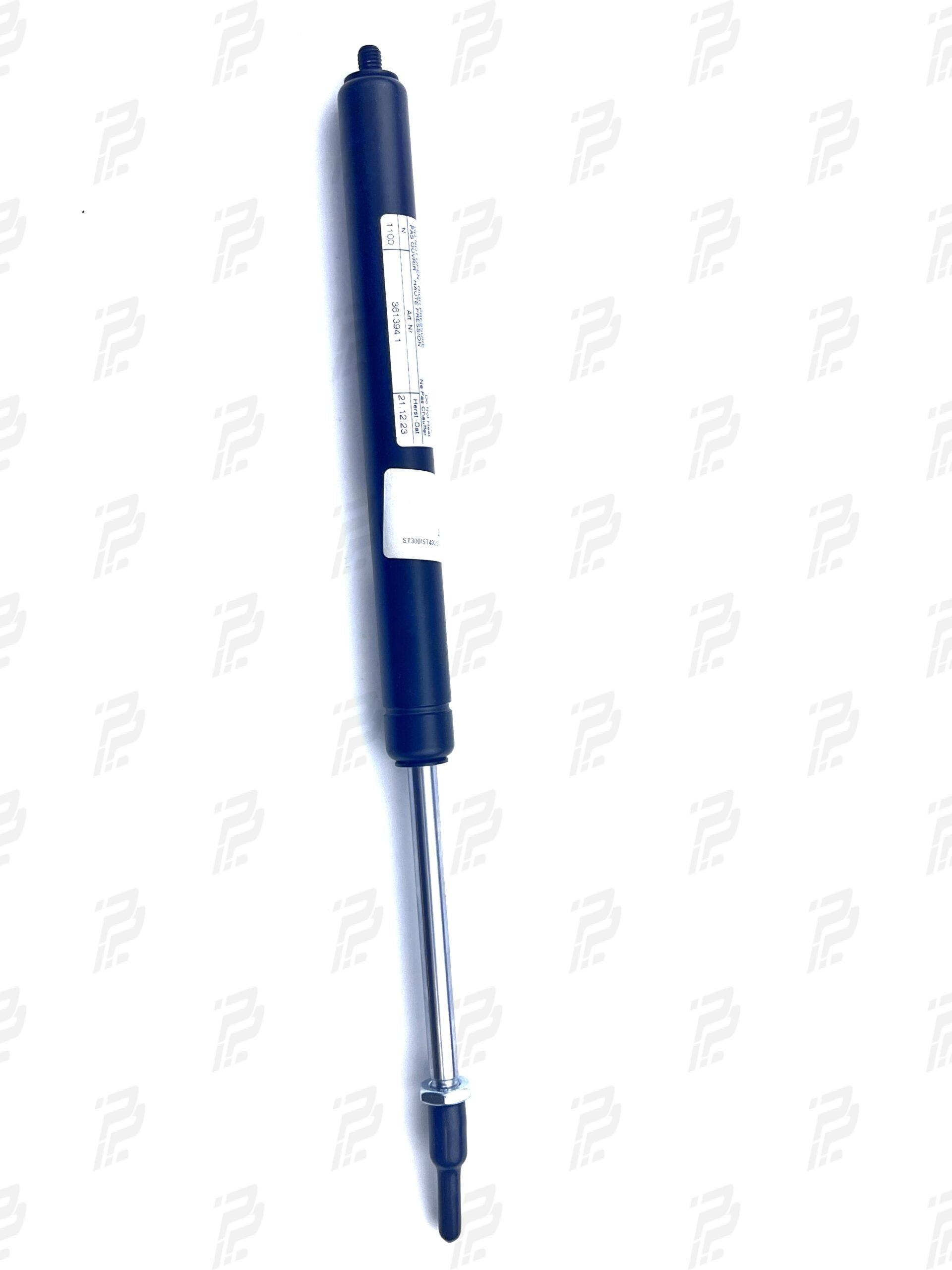 Pneumatic spring